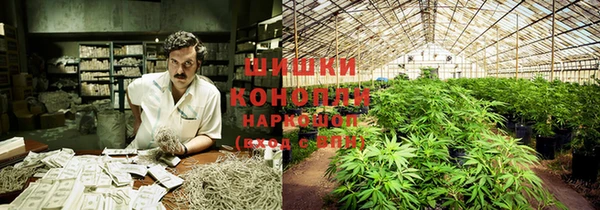 ГАЛЛЮЦИНОГЕННЫЕ ГРИБЫ Абаза