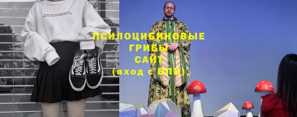 ГАЛЛЮЦИНОГЕННЫЕ ГРИБЫ Абаза