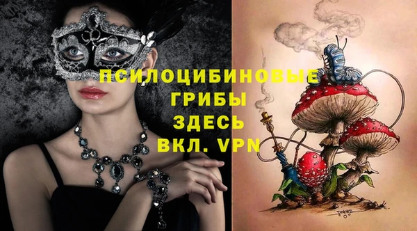 ГАЛЛЮЦИНОГЕННЫЕ ГРИБЫ Абаза