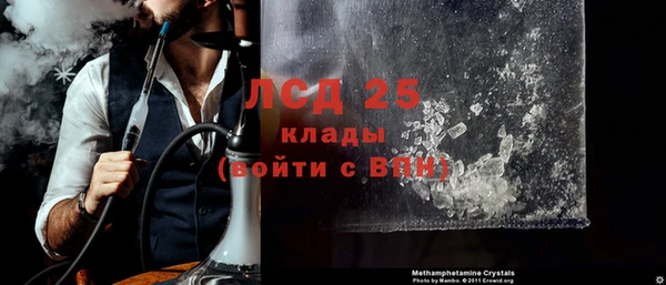 ГАЛЛЮЦИНОГЕННЫЕ ГРИБЫ Абаза